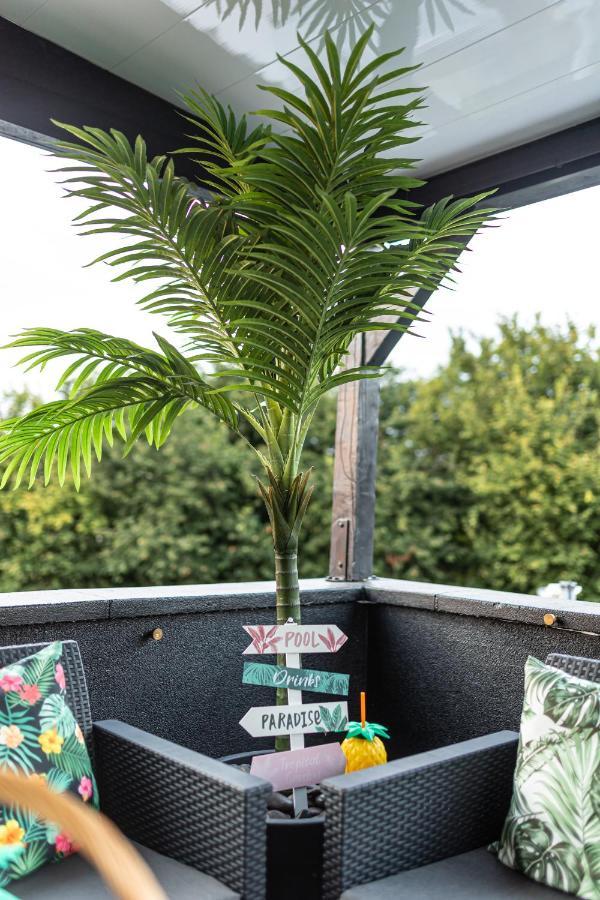 Dynasty Home Spa Appartement 100M2 Jacuzzi Terrasse Holtzheim Eksteriør billede